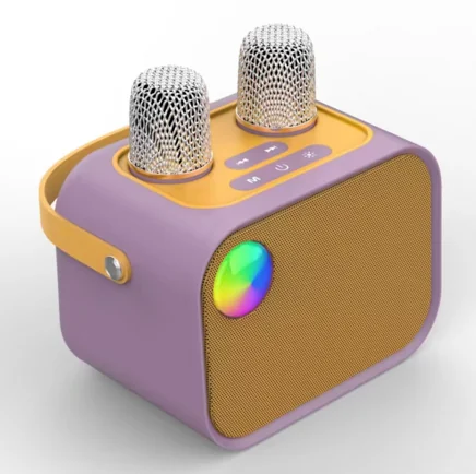P4D portable karaoke speaker